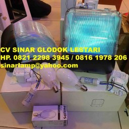 Lampu Dinding Outdoor + Lampu HPLN 125W